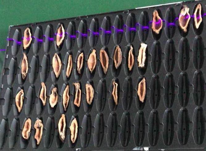 檳榔口味是如何利用高新技術(shù)加工的？