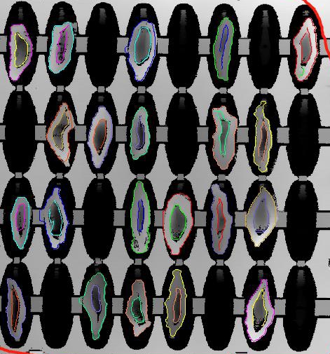 檳榔口味是如何利用高新技術(shù)加工的？